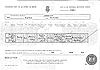 Birth Cert - Cohen, Nancy