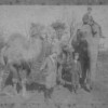 2 Camels-1 Elephant - 3 Braham Boys - Ilfracombe <br> Sydney Lewis, Arthur Henry, George Albert <br> Date: Mid 1890's